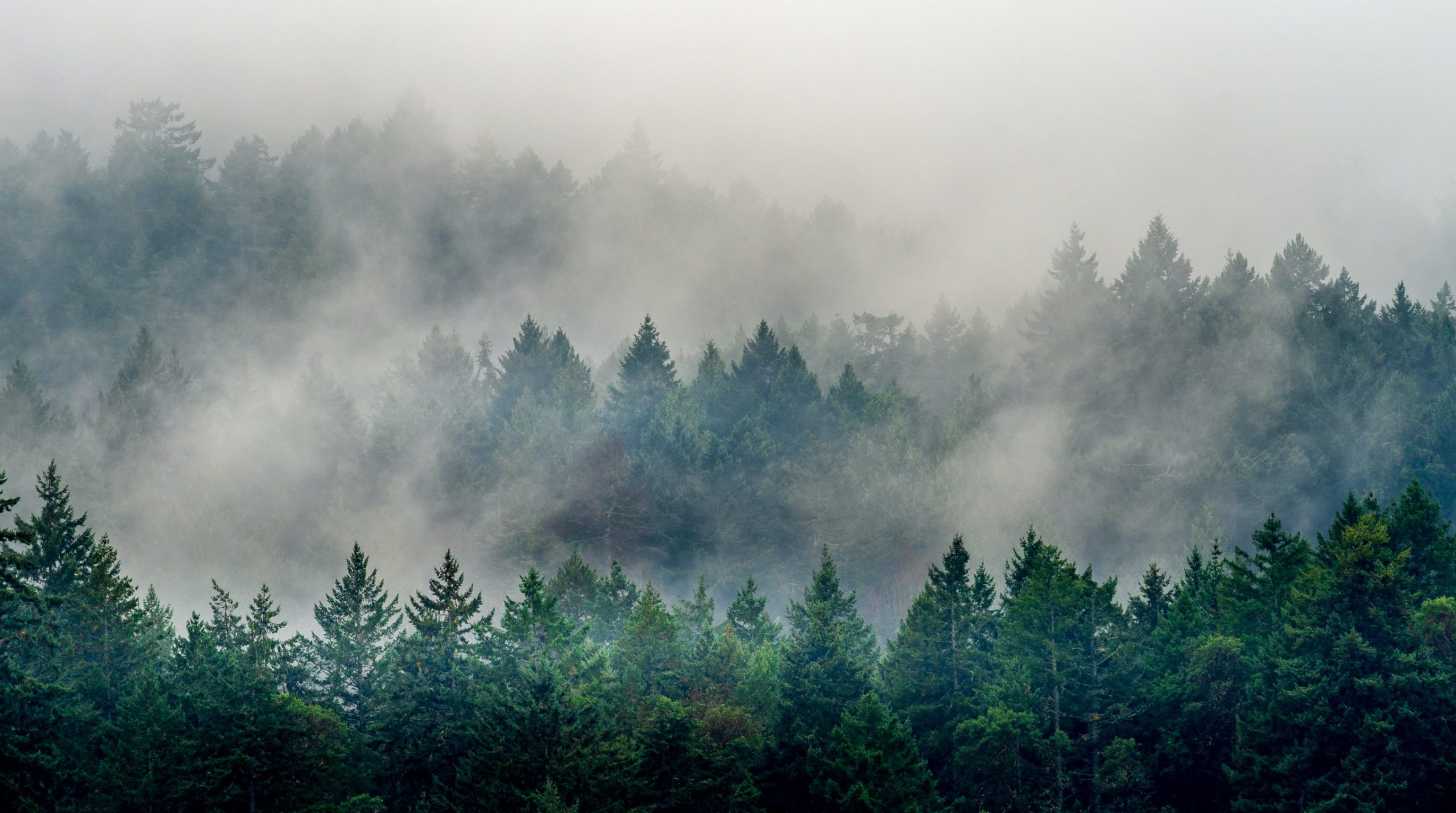 Начална страница 1 shutterstock 1572203692 1@2x scaled
