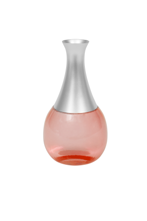 Bottle type throwing extinguisher 0.35 Lt foam - Image 3